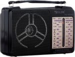 Радиоприемник RX-607AC FM/AM 220V AC, батерии